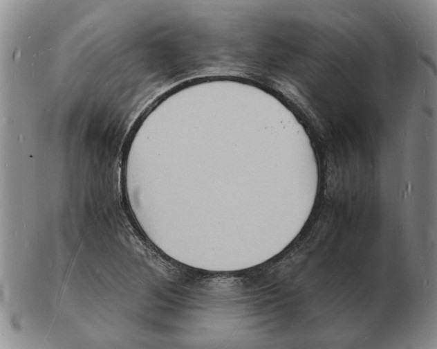 X0000102781268200809151054