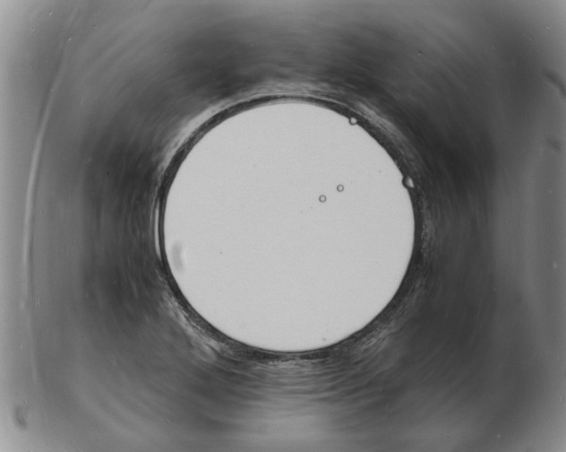 X0000102781272200809151054