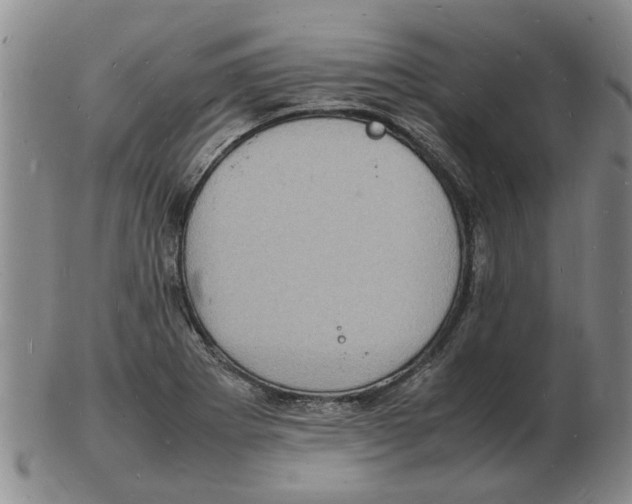 X0000102781273200809151054