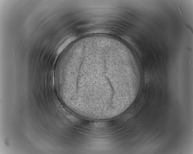 X0000102781274200809151054