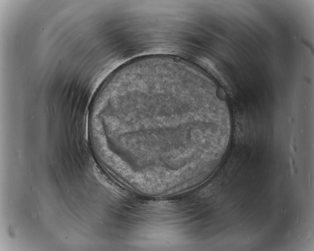 X0000102781276200809151054