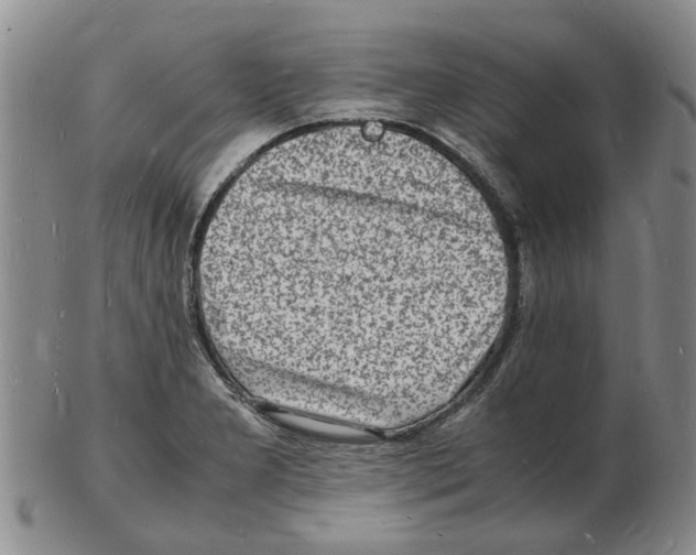 X0000102781277200809151054