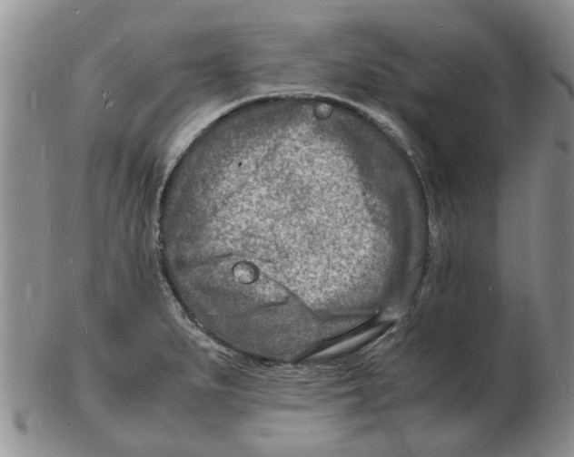 X0000102781279200809151054