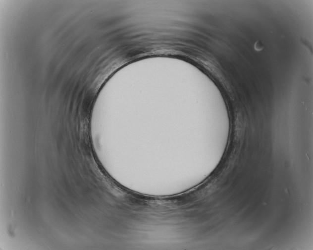 X0000102781281200809151054