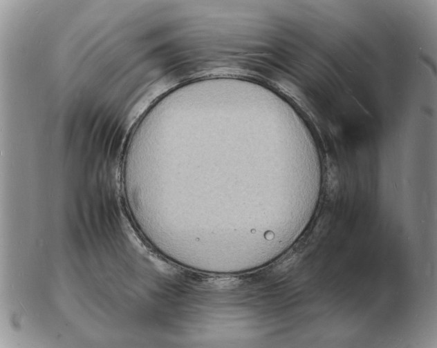 X0000102781282200809151054