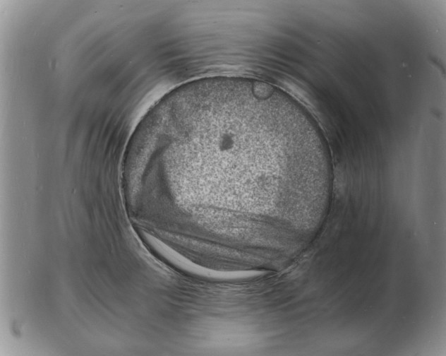 X0000102781283200809151054