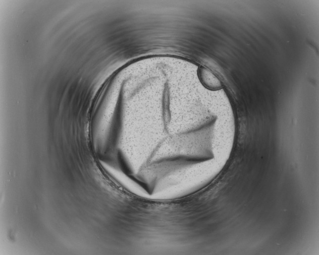 X0000102781284200809151054