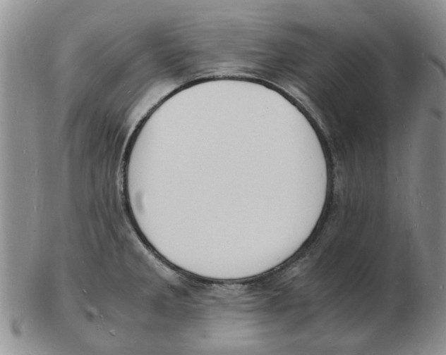 X0000102781285200809151054