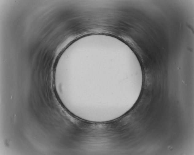 X0000102781286200809151054