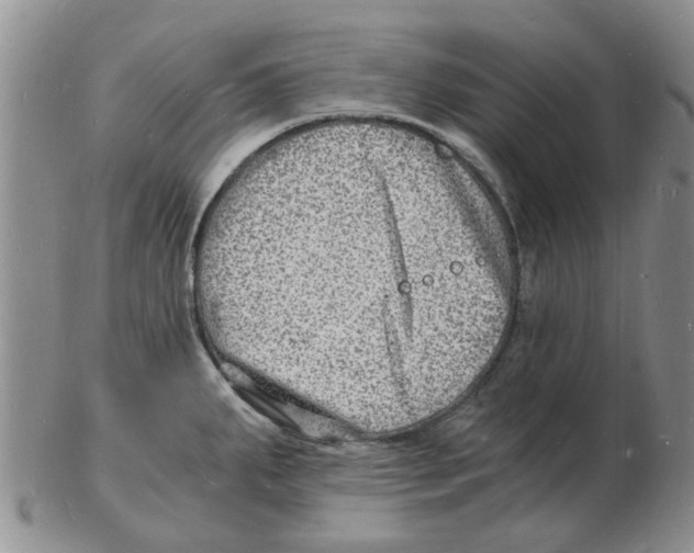 X0000102781287200809151054