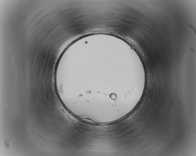 X0000102781288200809151054