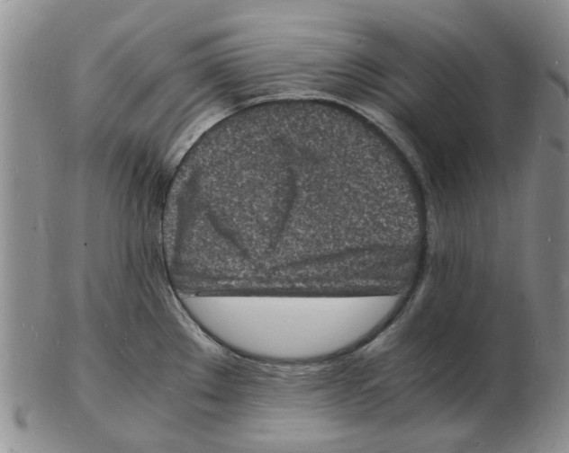 X0000102781289200809151054