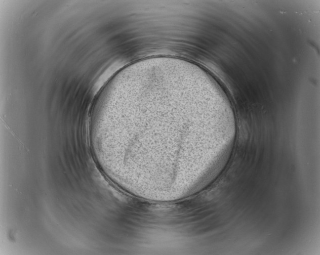 X0000102781290200809151054