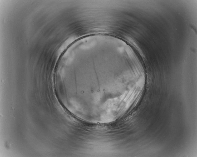 X0000102781291200809151054