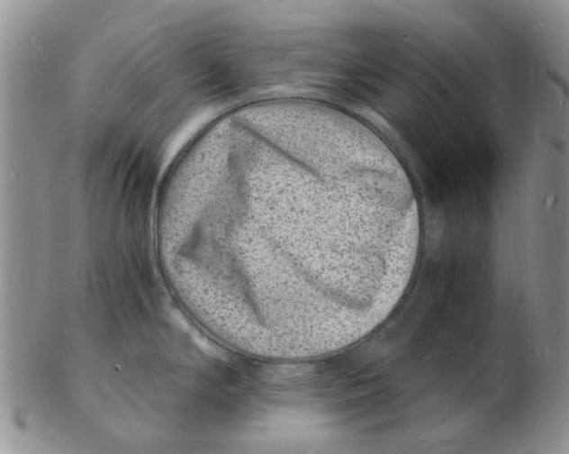 X0000102781294200809151054