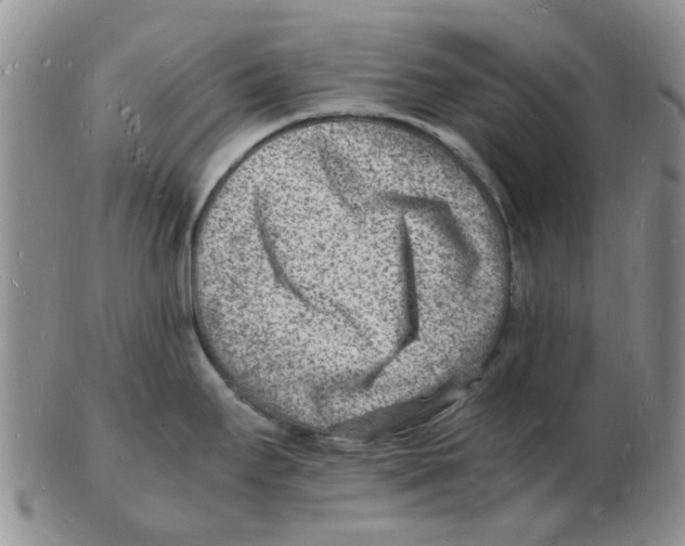 X0000102781295200809151054