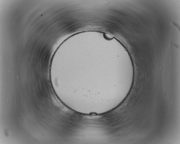 X0000102781296200809151054