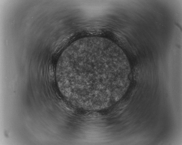 X0000102781298200809151053