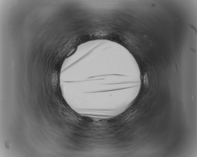 X0000102781299200809151053