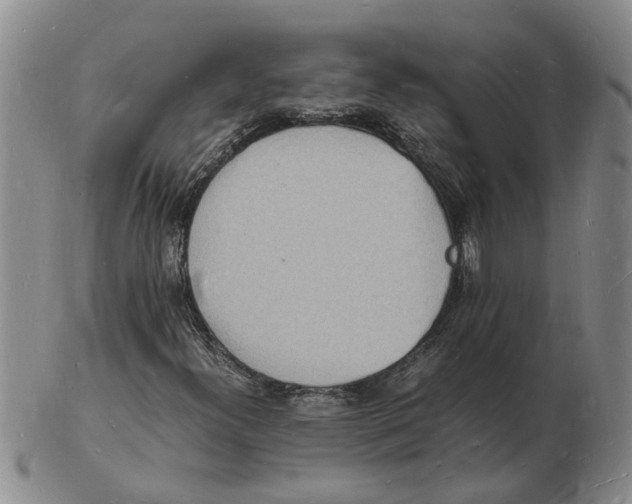 X0000102781300200809151053