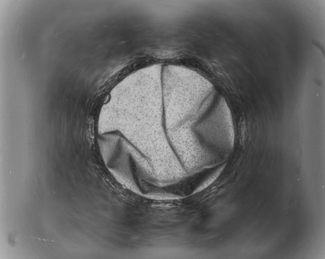 X0000102781301200809151053