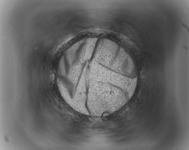 X0000102781302200809151053