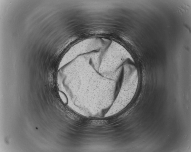 X0000102781305200809151053