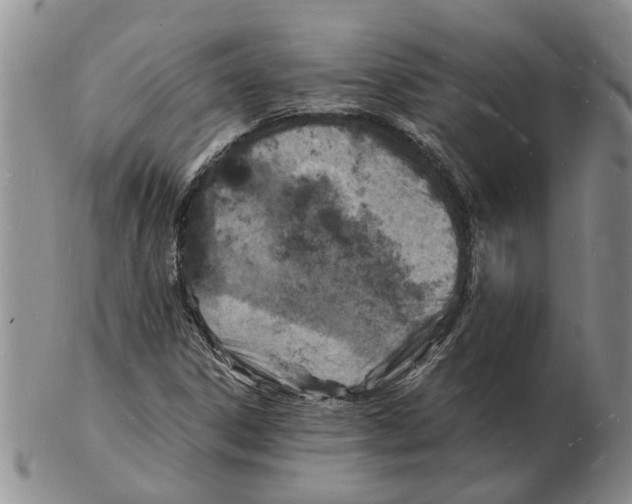 X0000102781306200809151053