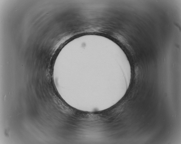 X0000102781308200809151053