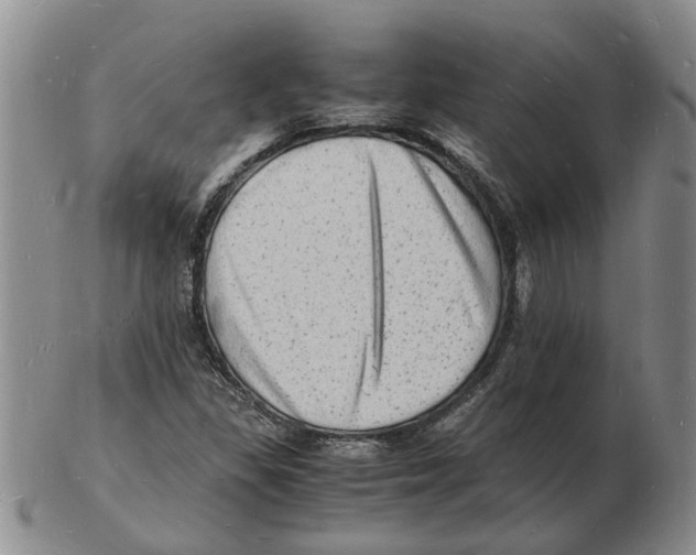 X0000102781309200809151053