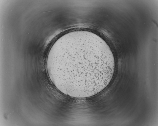 X0000102781310200809151054