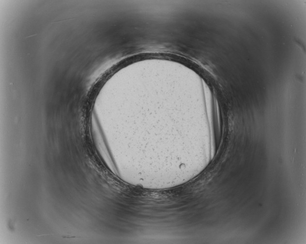 X0000102781311200809151054