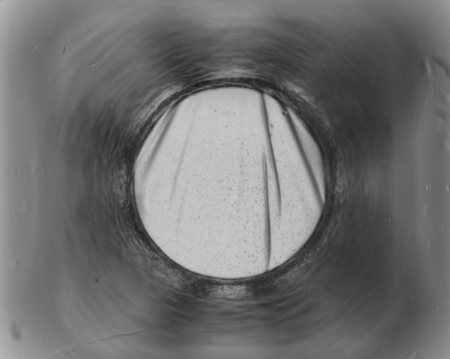 X0000102781313200809151054