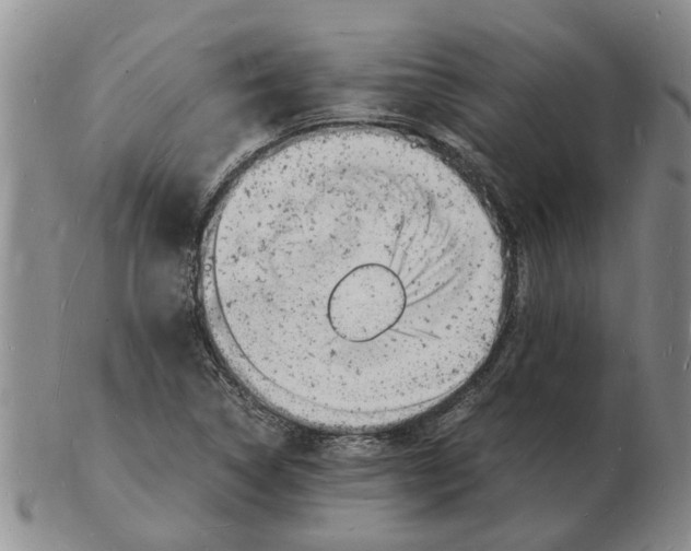 X0000102781314200809151054