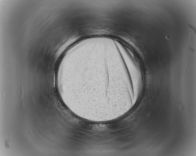 X0000102781317200809151054