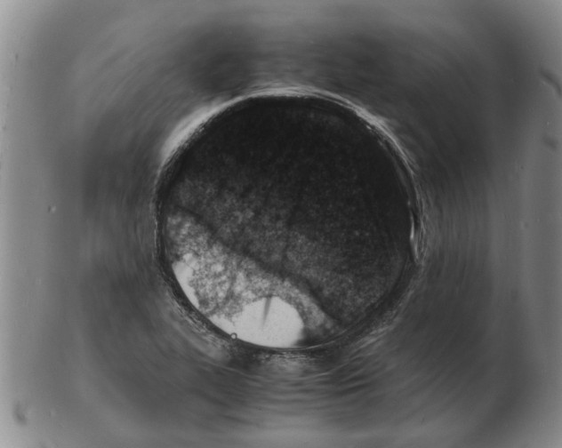 X0000102781319200809151054