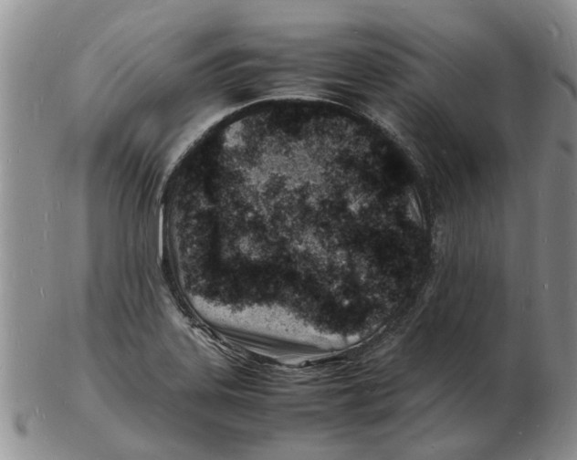 X0000102781323200809151054