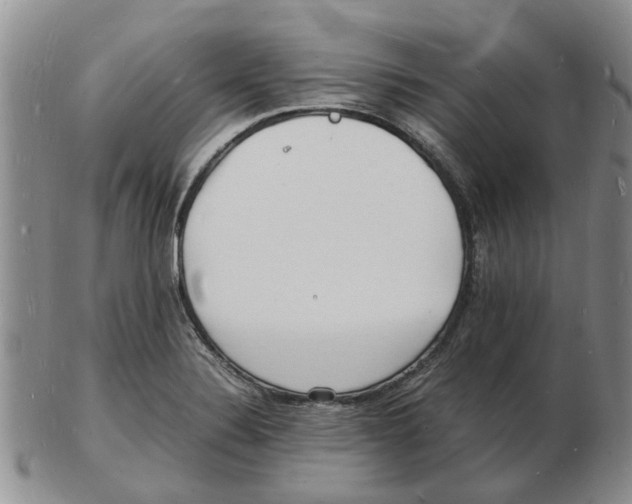 X0000102781324200809151054