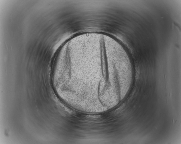 X0000102781325200809151054