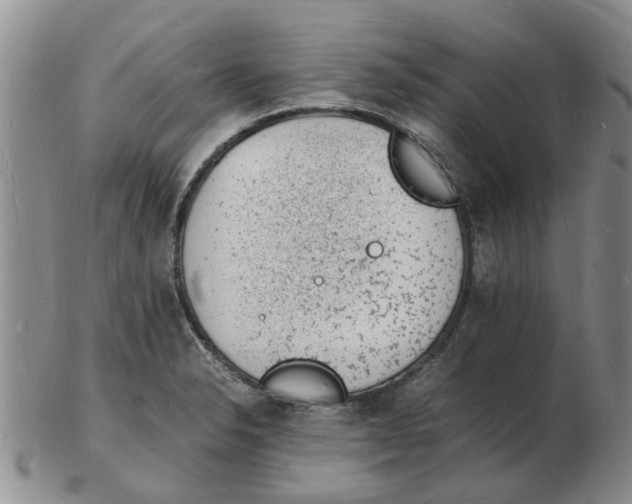 X0000102781326200809151054