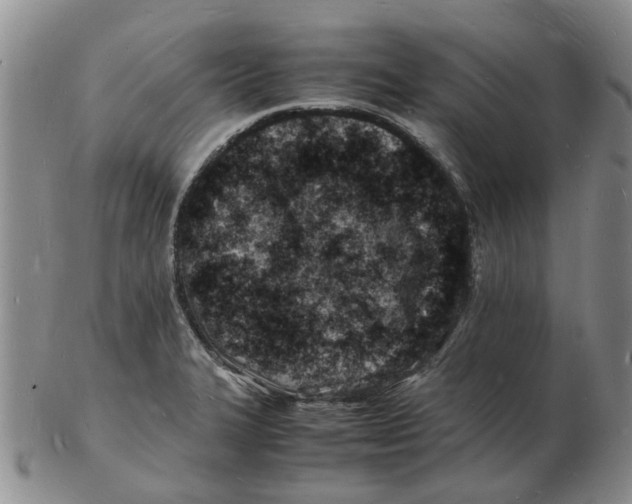 X0000102781327200809151054