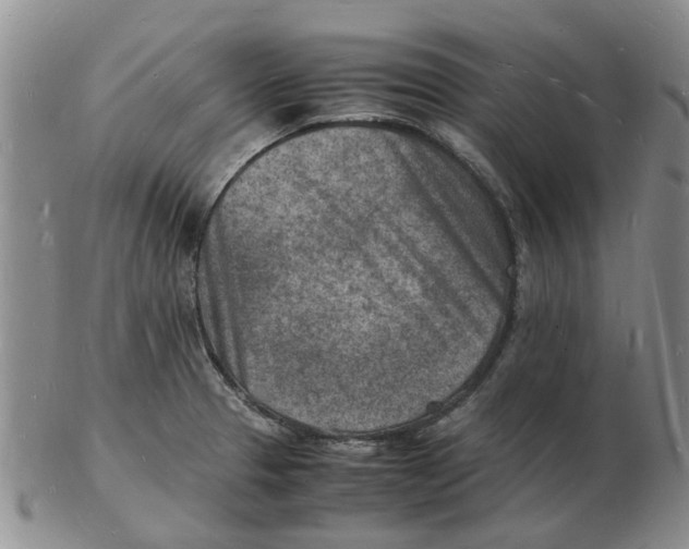 X0000102781329200809151054