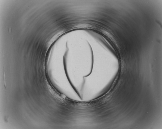 X0000102781330200809151054