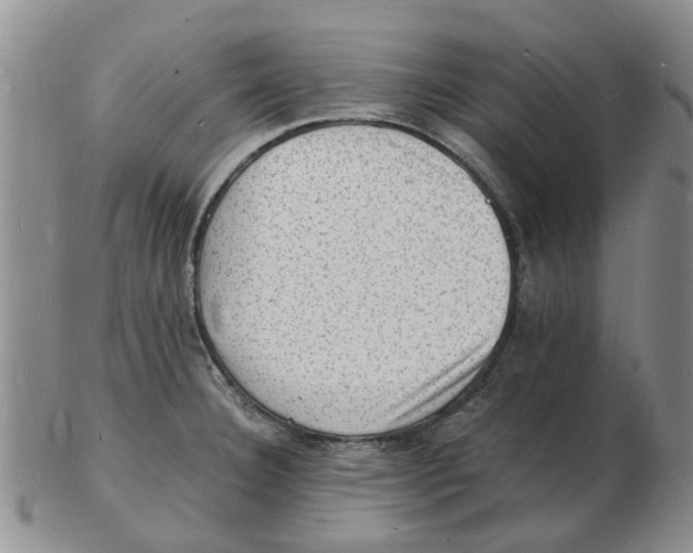 X0000102781332200809151054