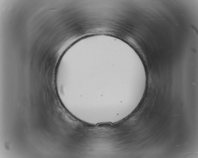 X0000102781336200809151054