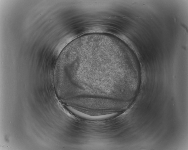 X0000102781337200809151054