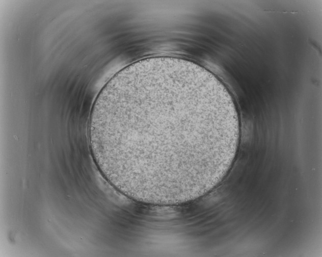 X0000102781338200809151054