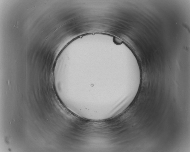 X0000102781340200809151054