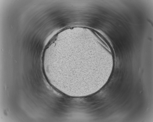 X0000102781341200809151054