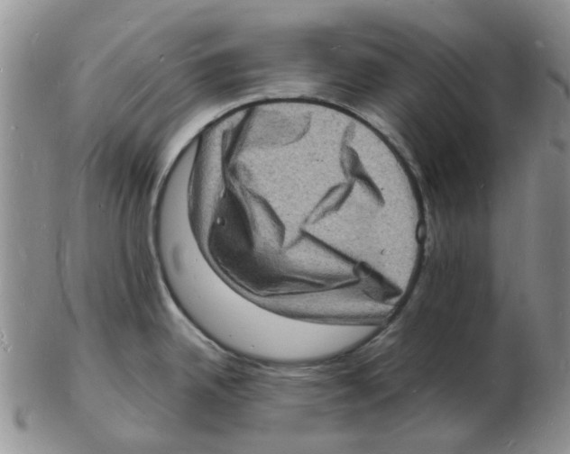 X0000102781342200809151054